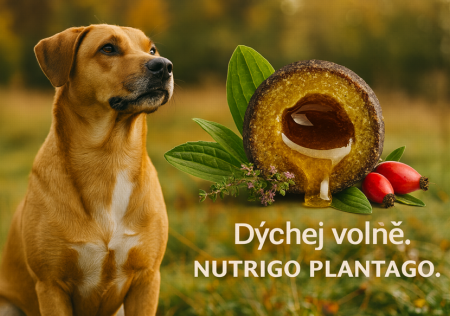 NUTRIGO Plantago – Chytrý doplněk stravy