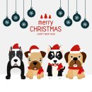 LK Baits Pet NUTRIGO BONBONS Merry Christmas