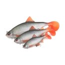 Fox Rage gumová nástraha Ultra Realistic Roach Replicant 14cm