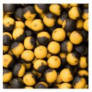 LK Baits Top ReStart Nutric acid/Pineapple  20 mm, 1kg