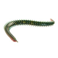 Lucky John Salty Sensation Sandworm 2" F05