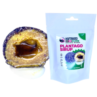 LK Baits Pet Nutrigo Dog Supplement Plantago Sirup, (Skorocel kopijovitý), Mini,75g