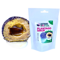 LK Baits Pet Nutrigo Dog Supplement Plantago Sirup (lanzettlicher Wegerich)