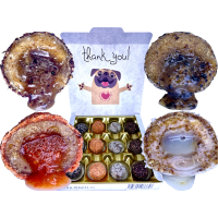 LK Baits Pet NUTRIGO BONBONS Present Small - Festive candy box for smaller dogs