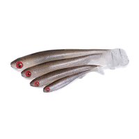 Fox Rage gumová nástraha Slick Shad 11cm Electric Flash