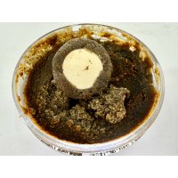 LK Baits POP-UP Boilies Tester Series_01 Pure Signal 150ml, 14-20mm, White