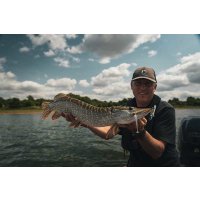 Fox Rage gumová nástraha Scent Shad