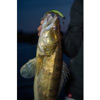 Fox Rage gumová nástraha Scent Shad