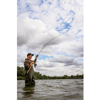 Fox prut Horizon X4 12ft 3,6m 3lb Cork handle